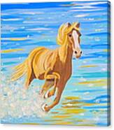 Horse Bright Canvas Print