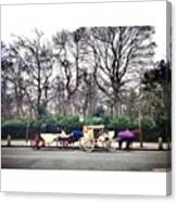 #horse #carriage #park #saint #stephen Canvas Print