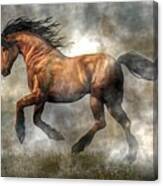 Horse Canvas Print