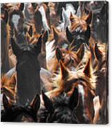 Horse Ears Canvas Print