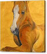 Horse - Gogh Canvas Print