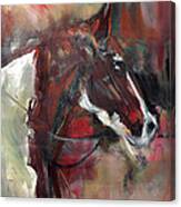 Horse Of The Past Canvas Print
