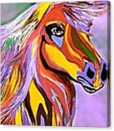 Horse Posing Pretty 2 Canvas Print