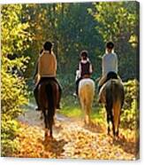 Horseback Riding In The Autumnal Forest Canvas Print