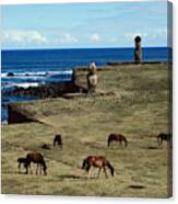 Horses Grazing, Easter Island Canvas Print