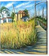 Houses In The Weeds Canvas Print