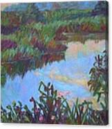 Huckleberry Line Trail Rain Pond Canvas Print