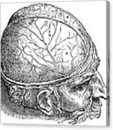 Human Brain Vesalius 16th Century Canvas Print