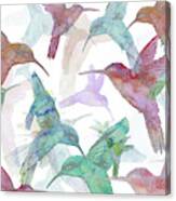 Hummingbird Dance On White Canvas Print