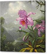 Hummingbird Perched On The Orchid Plant Canvas Print