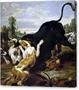 Hunted Bull Canvas Print