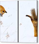 Hunting Fox Diptych Canvas Print