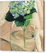 Hydrangea Blossom Canvas Print