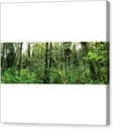 I Love It #lush. -- (iphone 5 Panorama Canvas Print