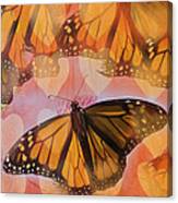 I Love Monarchs Canvas Print