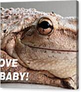 Frog Declaration Of Love Canvas Print