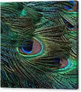 I See You Canvas Print