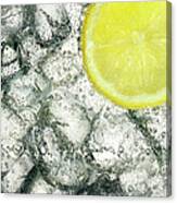 Ice And Lemon Canvas Print