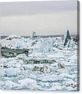 Beautiful Iceberg Lake Canvas Print