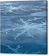 Icy Designs Canvas Print