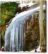 Icy Waterfall Canvas Print