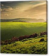 Illuminated Evening Landscape North Devon Canvas Print