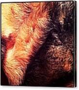 #ilovemydog #dog #germanshepherddog Canvas Print