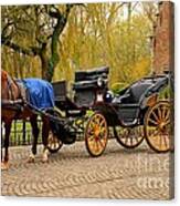 Immaculate Horse And Carriage Bruges Belgium Canvas Print