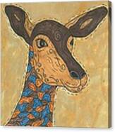 Impala Antelope Canvas Print