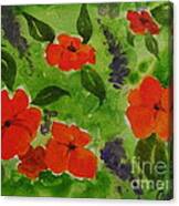 Impatiens Canvas Print