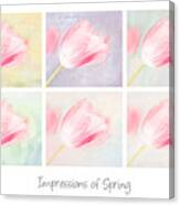 Impressions Of Spring Canvas Print