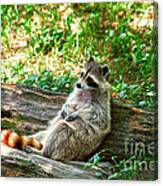 In Repose Canvas Print