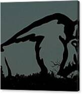In Silhouette Canvas Print