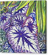 In The Conservatory-7th Center-violet Canvas Print