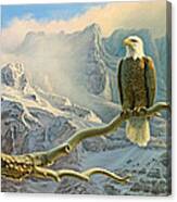In The High Country-eagle Canvas Print