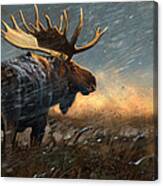 Incoming Storm Canvas Print
