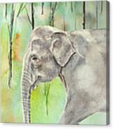 Indian Elephant Canvas Print