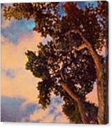 Inspired By Maxfield Parrish Canvas Print