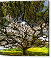 Intertwined Canvas Print