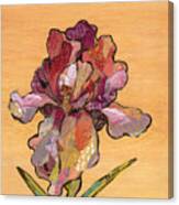 Iris Ii - Series Ii Canvas Print