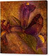 Iris Number Eight Canvas Print