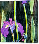 Iris Tall And Slim Canvas Print