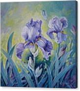 Irises Canvas Print