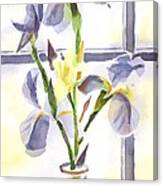 Irises In The Window Ii Canvas Print