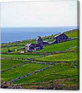 Irish Farm 1 Canvas Print