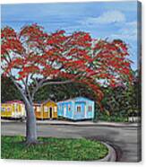 Isabela Puerto Rico Canvas Print