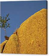 Island In The Sky  Pano Version Canvas Print