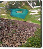 Island Lake Vertical Panorama Canvas Print