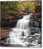 It Feels Like Fall At Onondaga Falls Canvas Print