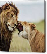 It Happens In The Best Families!!! 3 Canvas Print